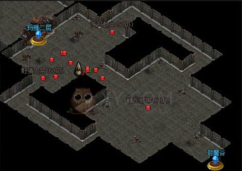 热血传奇手游白虎高效打法 实战细节与场景适配指南